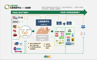 九曳供應鏈獲數億C輪融資 百人IT團隊如何為新消費品牌賦能